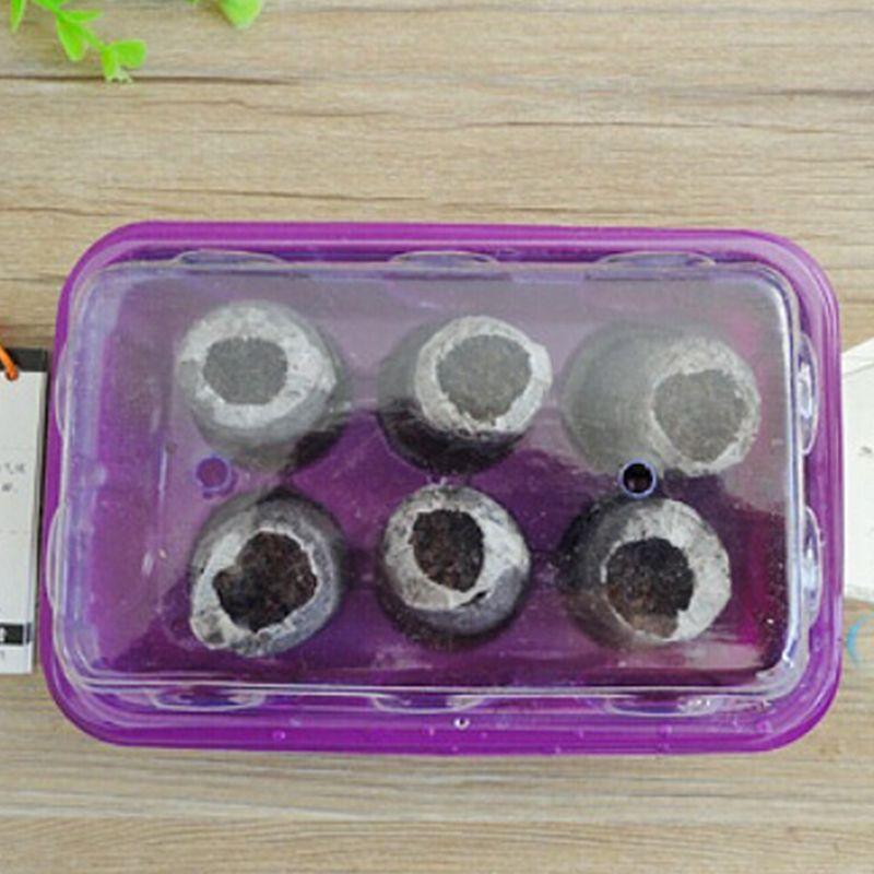 100pcs 30mm Peat Pellets Seeds Starting  Peat Pellet Helps to Avoid Root Shock