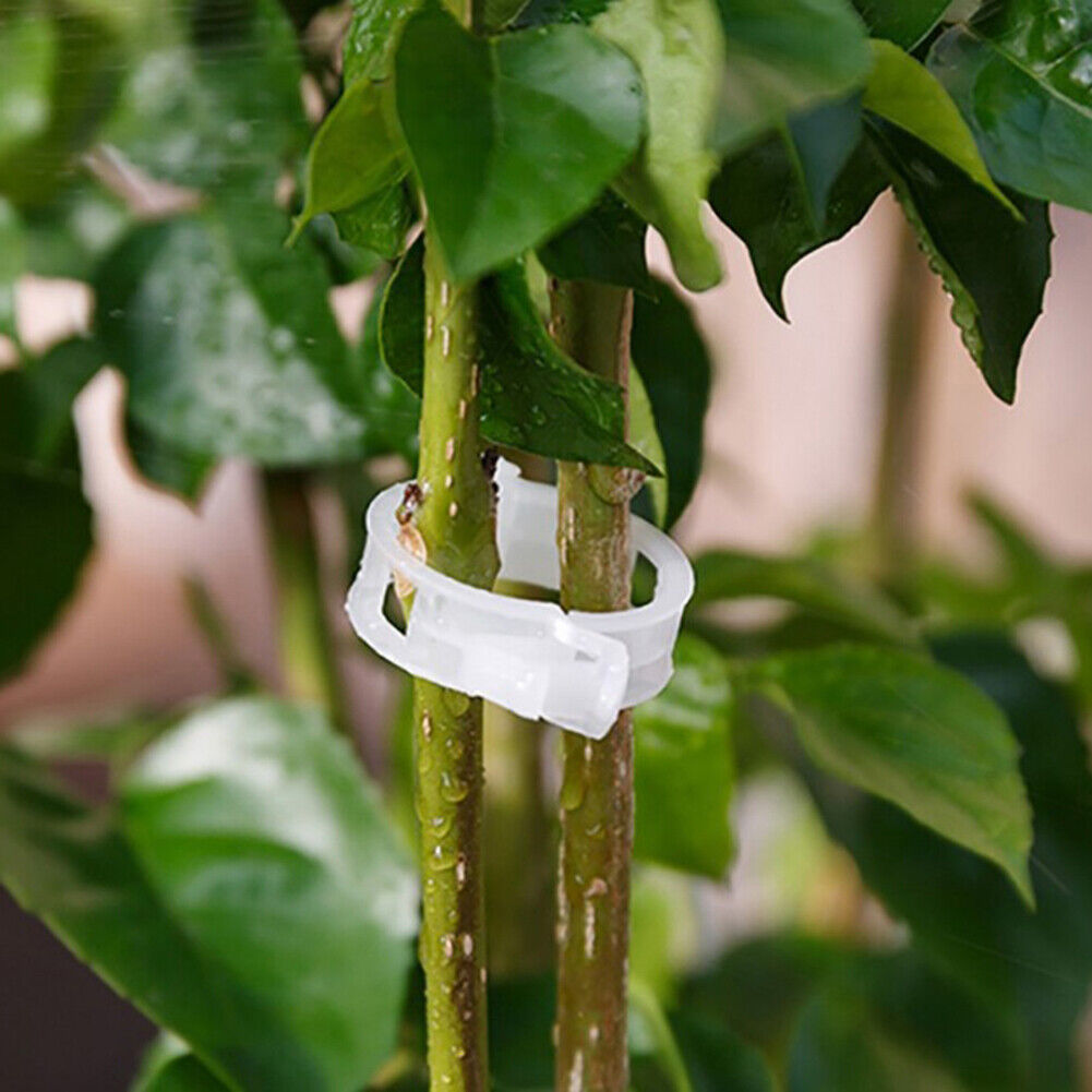 50x/bag Plastic Plant Support Clips Hanging Vine Connects Plants Protection