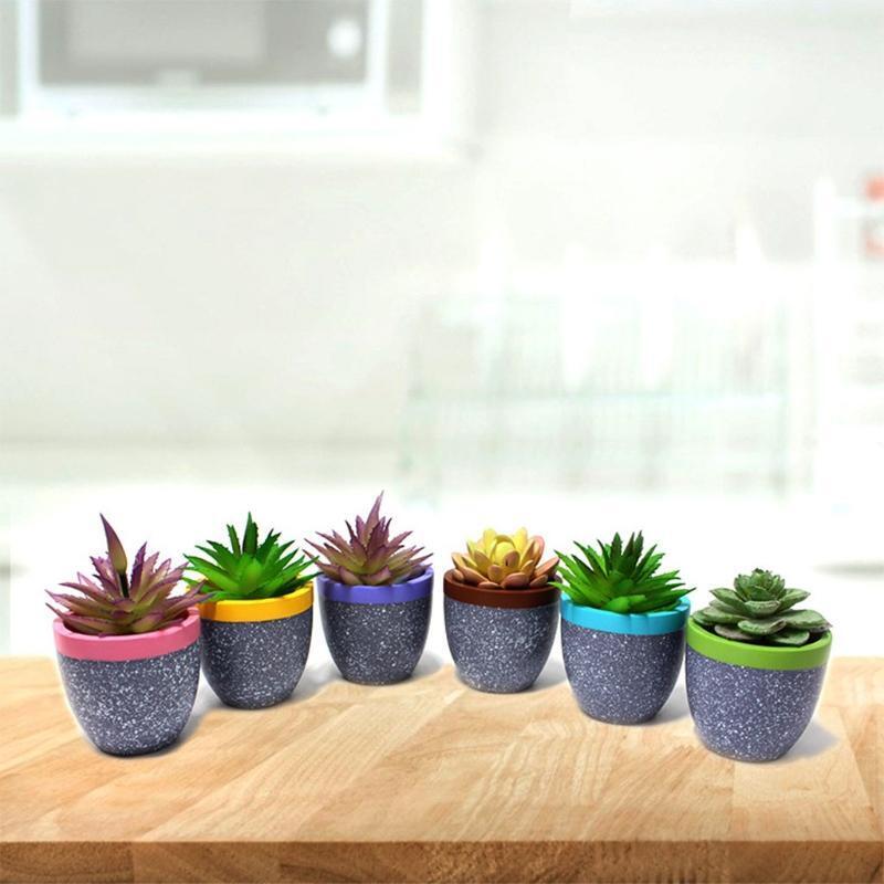 6Pcs Garden Pots Fit for Most Succulent Plants Flowers Indoor Planter Supplies