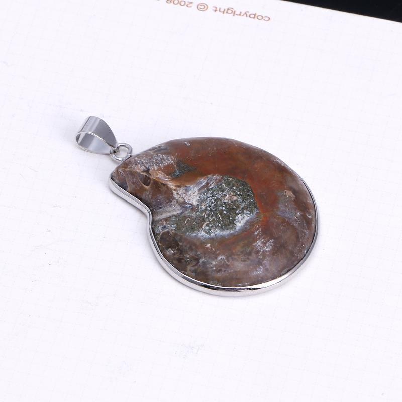 Fashion Colorful Spotted Conch Fossil Seashell Snail Pendant for  Friends