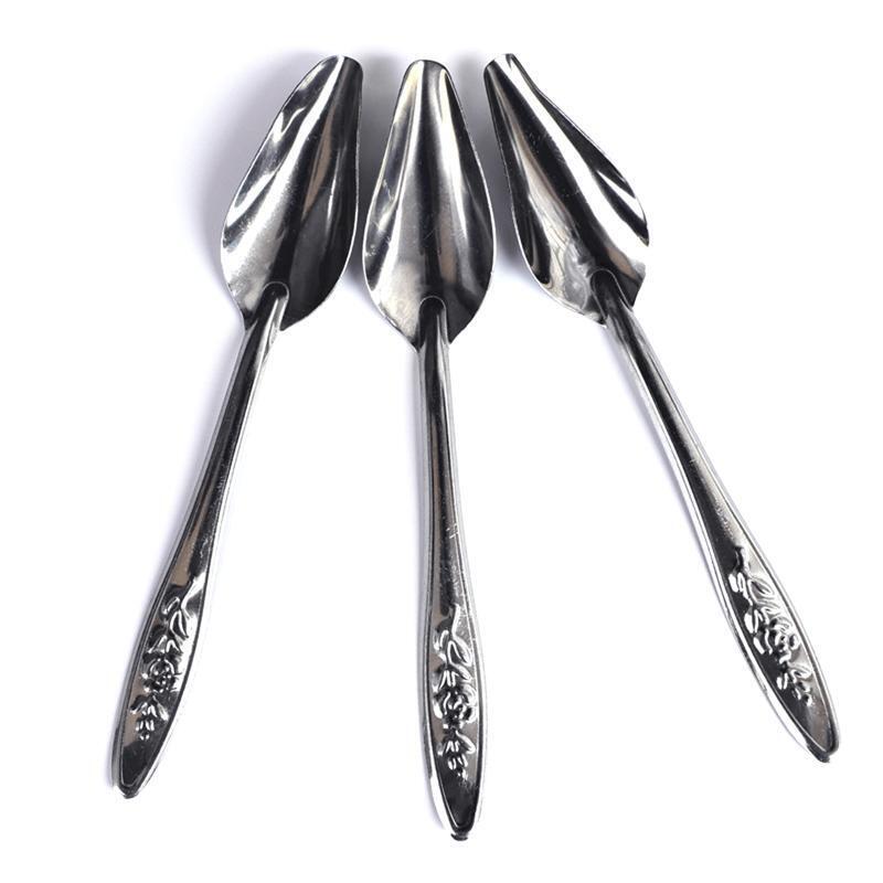 Parrot Feeding Spoon Stainless Steel Feed Scoop Animals Care Tool for Budgie