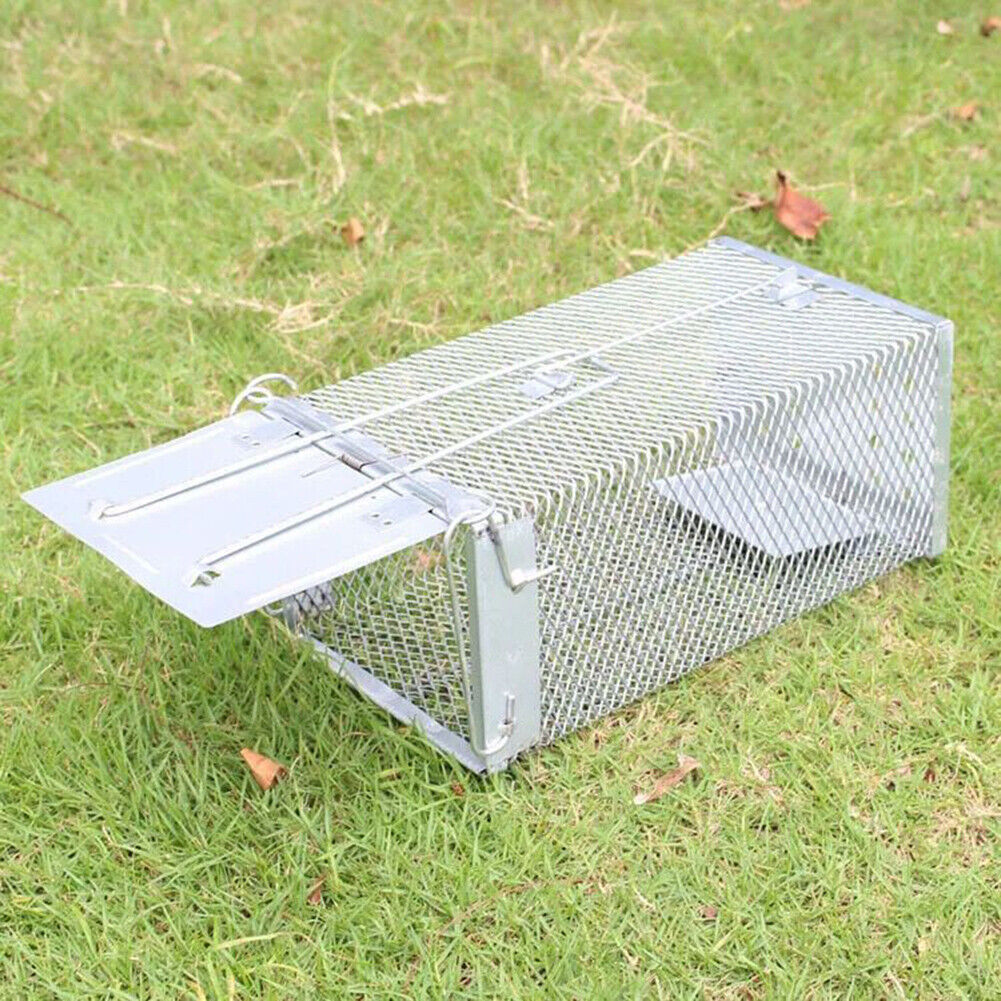 Mouse Trap Cage for Household Mice Catcher Automatic Rats Traps Pet Control