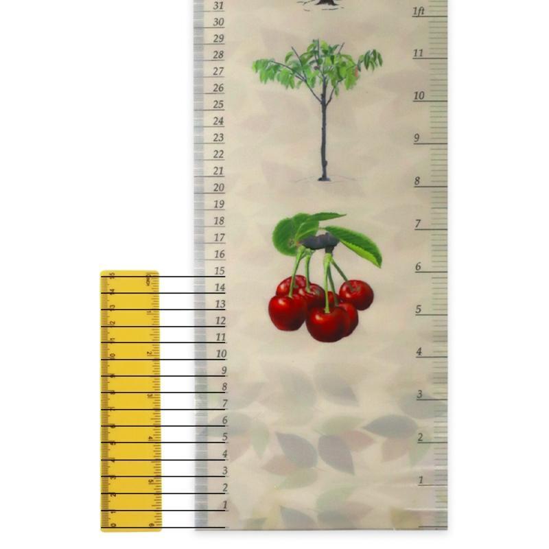 Kid Height Measuring Ruler Growth Height Chart Ruler for Kids Room Decoration