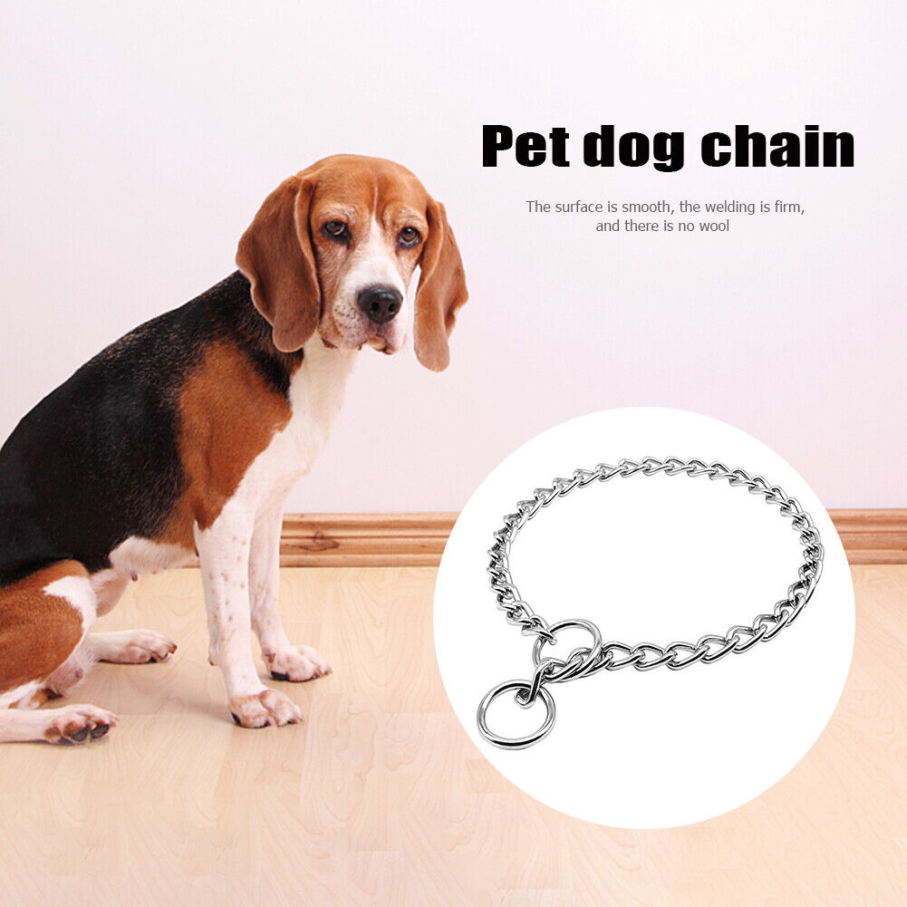 Dog Training Choker Chain Small Medium Large Dog Stainless Collar (28 inch)