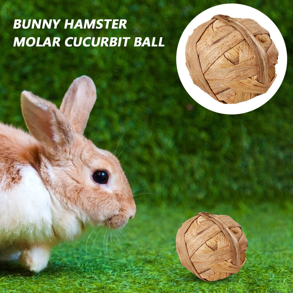 4pcs Hamster Rabbit Chewing Grass Ball Small Pet Teeth Clean Molar Ball Set