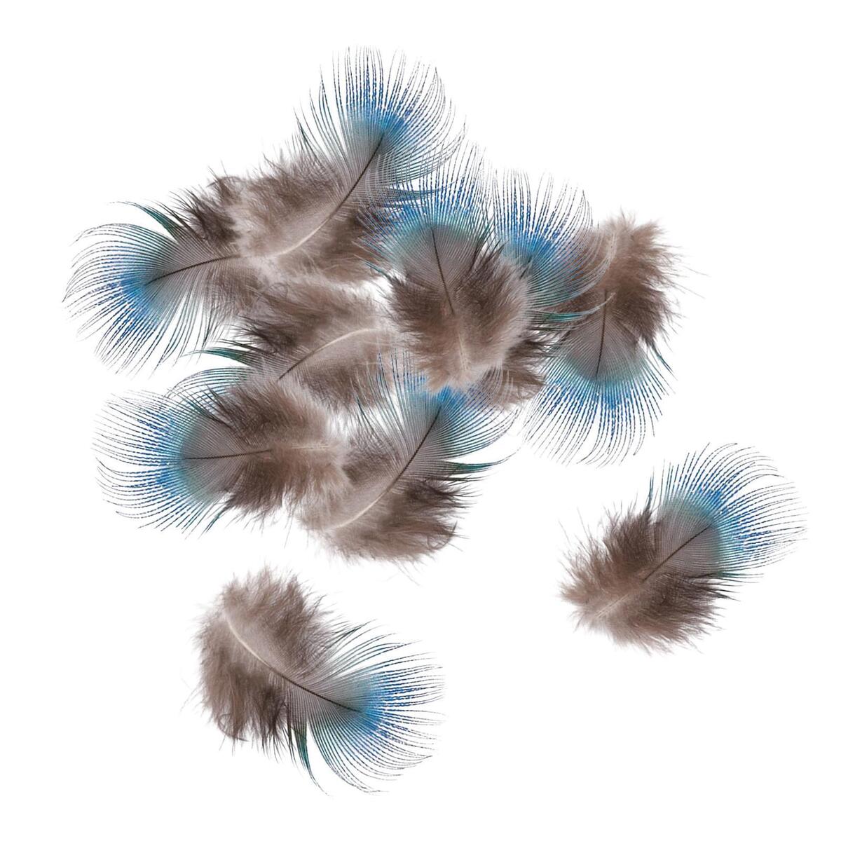 10x Blue Peacock Feathers DIY Headdress Craft Bulk Body Feathers for Show Vases