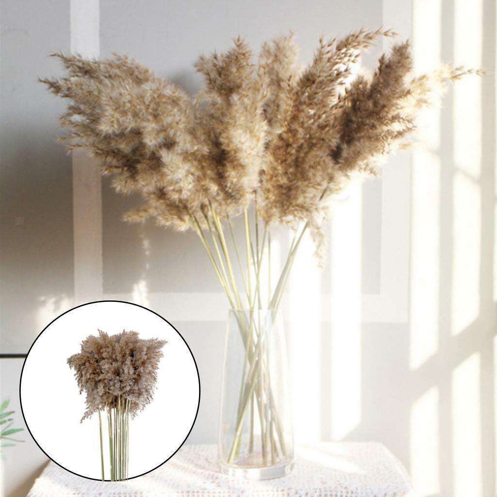 30x  Dried  Grass Reed Flower   and garden Table Decor