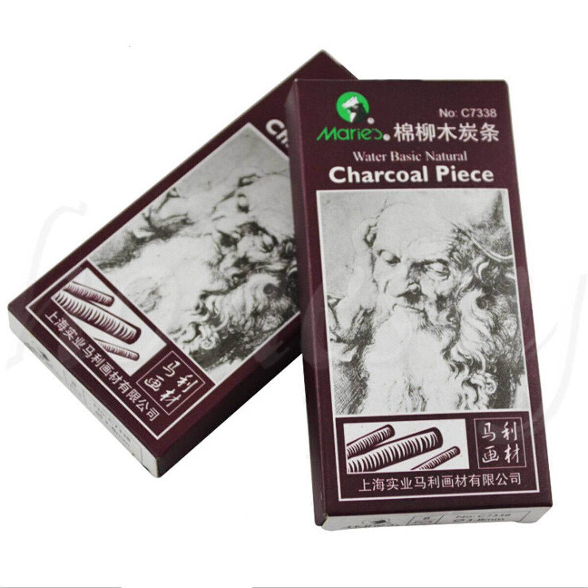 6pcs Charcoal Sticks Bar Sketch Art Drawing Sketching Oil Painting Willow & Case