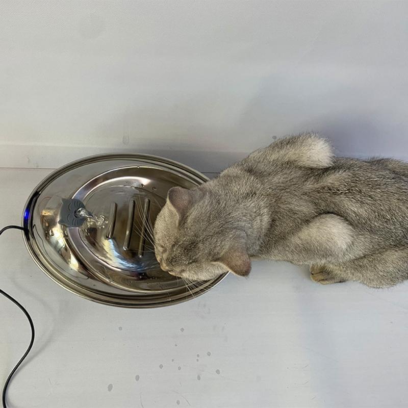 Pet Drinking Water Dispenser for Cats and Dogs Indoor with 2 Filter Replacement