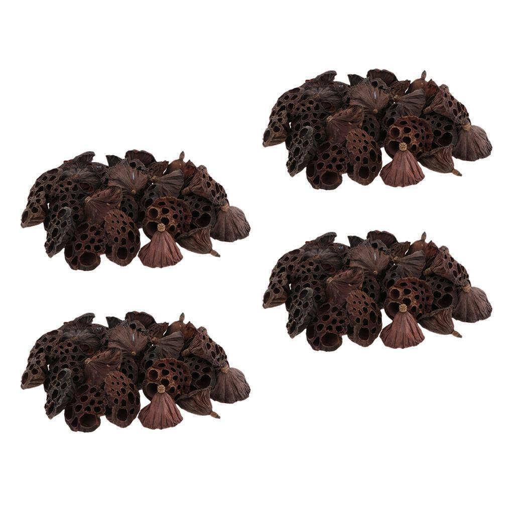 120pcs Natural Dried lotus pod Flowers Fruit for floral decor crafts DIY