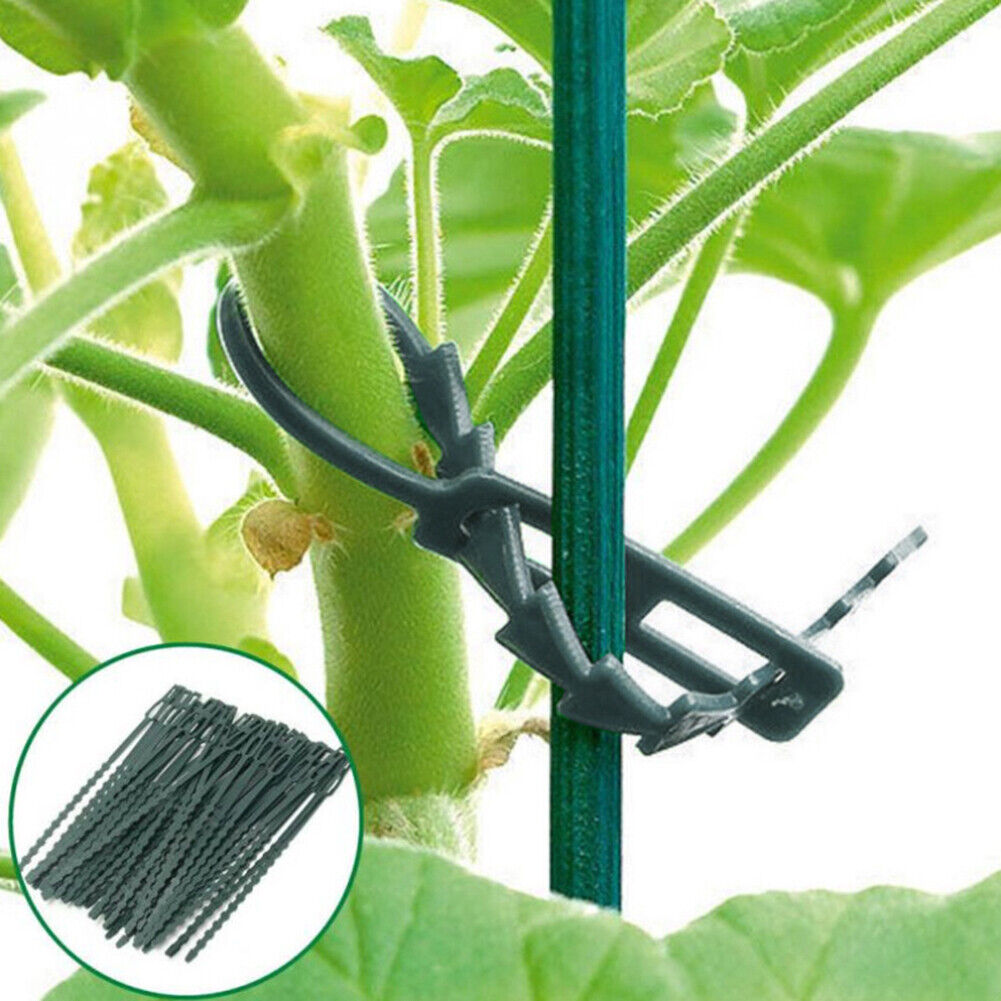 50x/bag Plastic Plant Ties Reusable Adjustable Grow Kit Garden Tools (17cm)