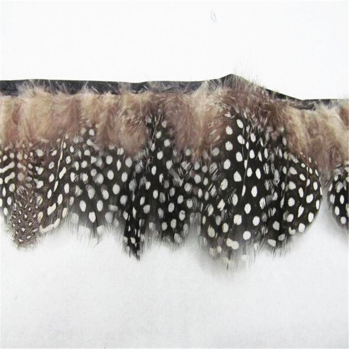 100cm Guinea Fowl Feather Fringe Trim for DIY Crafts Costume Sewing Millinery