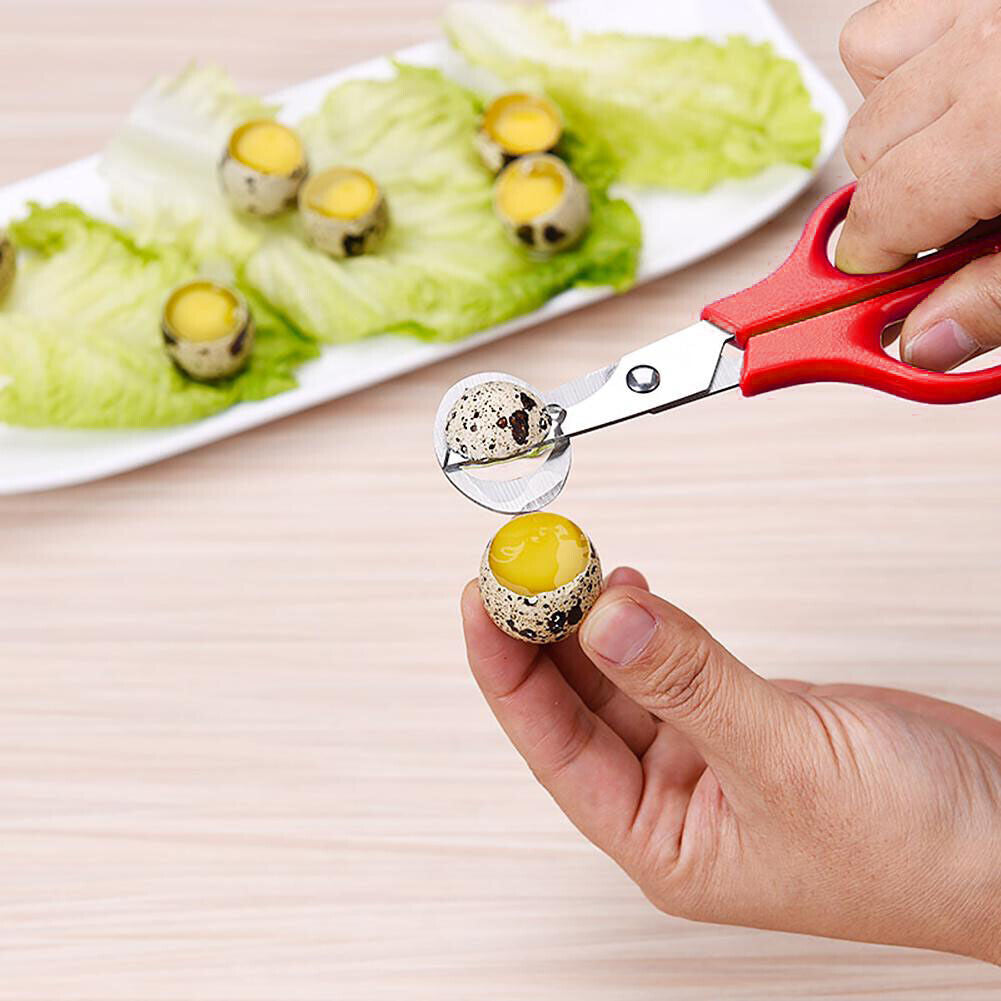 Bird Quail Egg Scissors Pigeon Opener Cutter Cracker Clipper Slicer (Red)