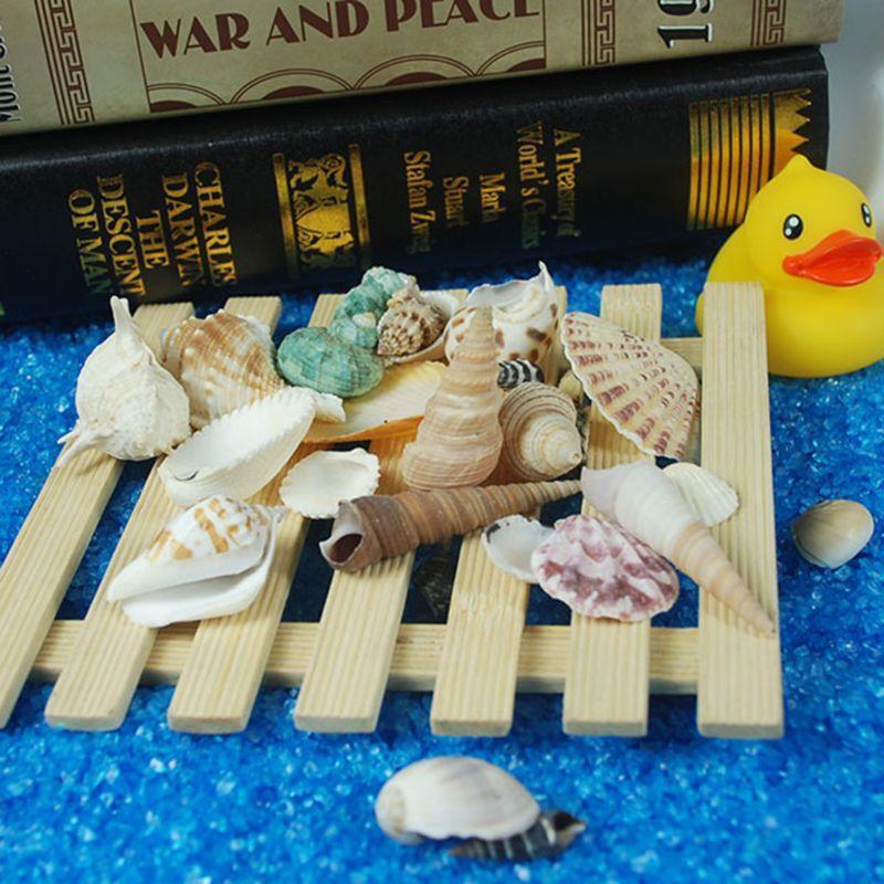 120g Natural Turbo Seashell Sea Conch Hermit Crab House Aquarium Practical Shell