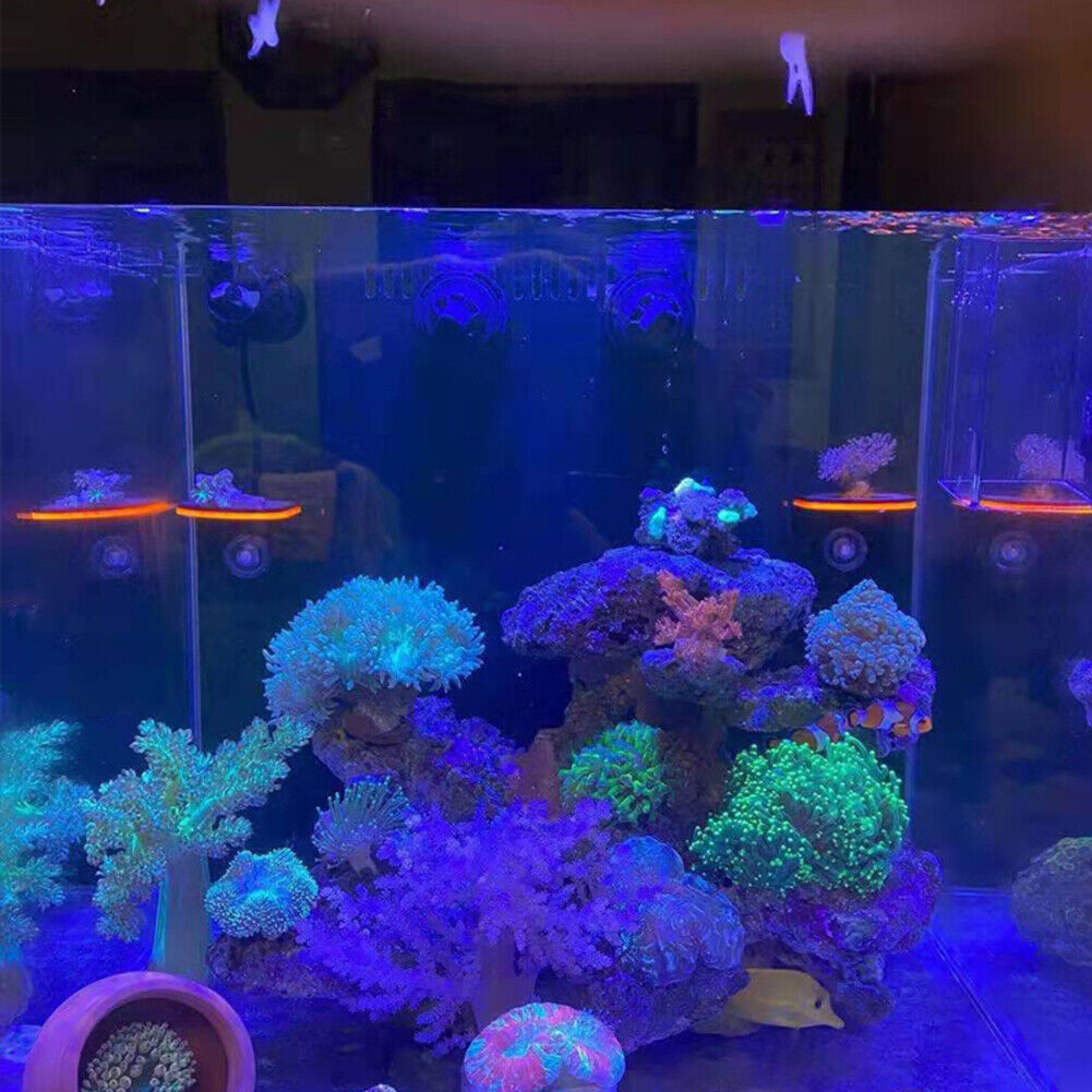 Fish Tank Fluorescence Coral Frag Rack Aquarium Reef w/Plug Holder (Yellow)