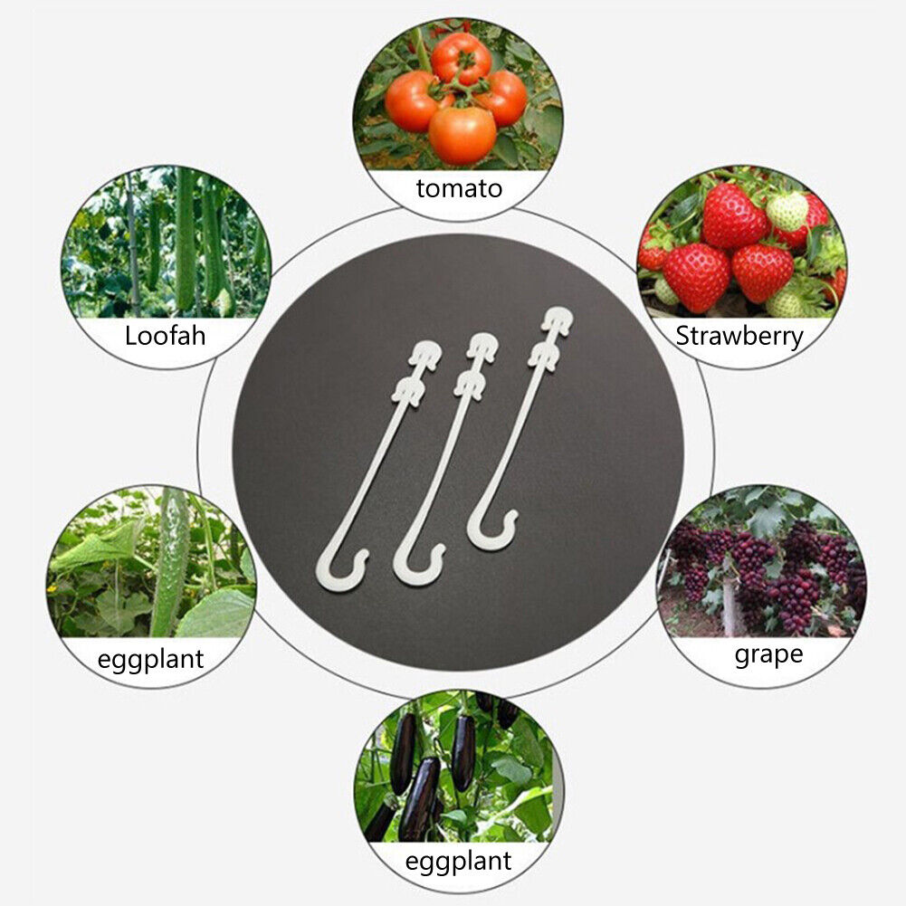 50pcs Plant Grape Vines Support Clips Trellis Fruit Cherry Tomato Ear Hook