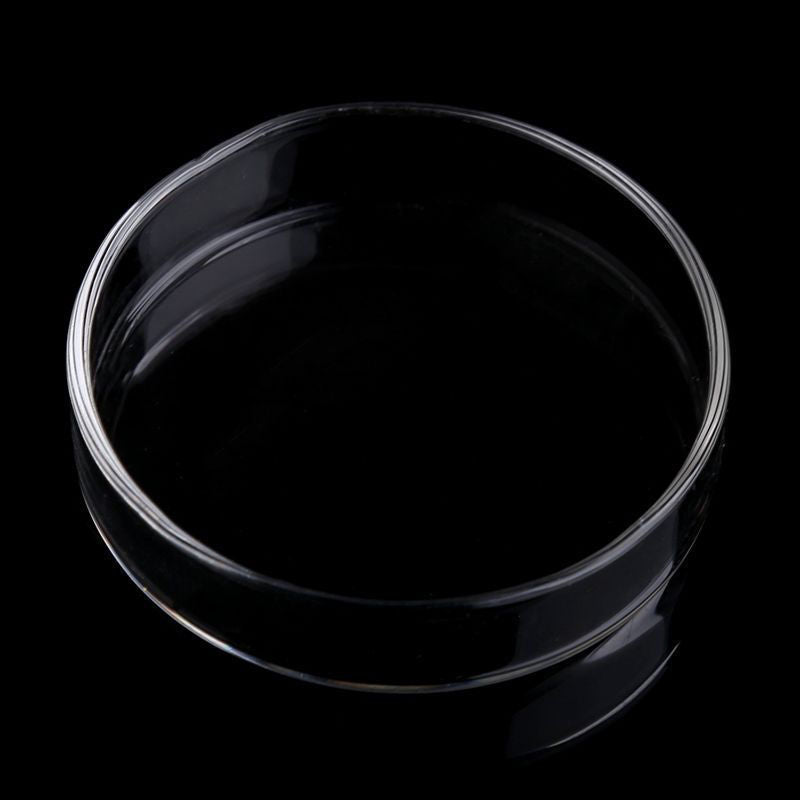 Tray Container Acrylic. Aquarium Fish Tank Clear Shrimp Feeding Food Dish Feeder