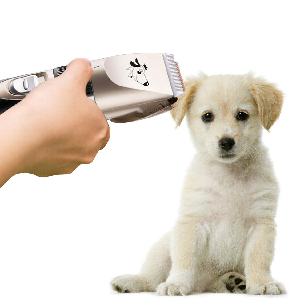 Pet Grooming Tool Dog Electric Hair Cutter Blades Replaceable Cutter Head