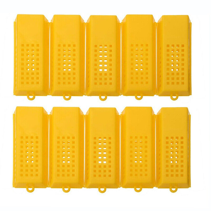 10pcs Extended Queen/Bee Butler Cage Catcher Trap Case Plastic Beekeeping Tools