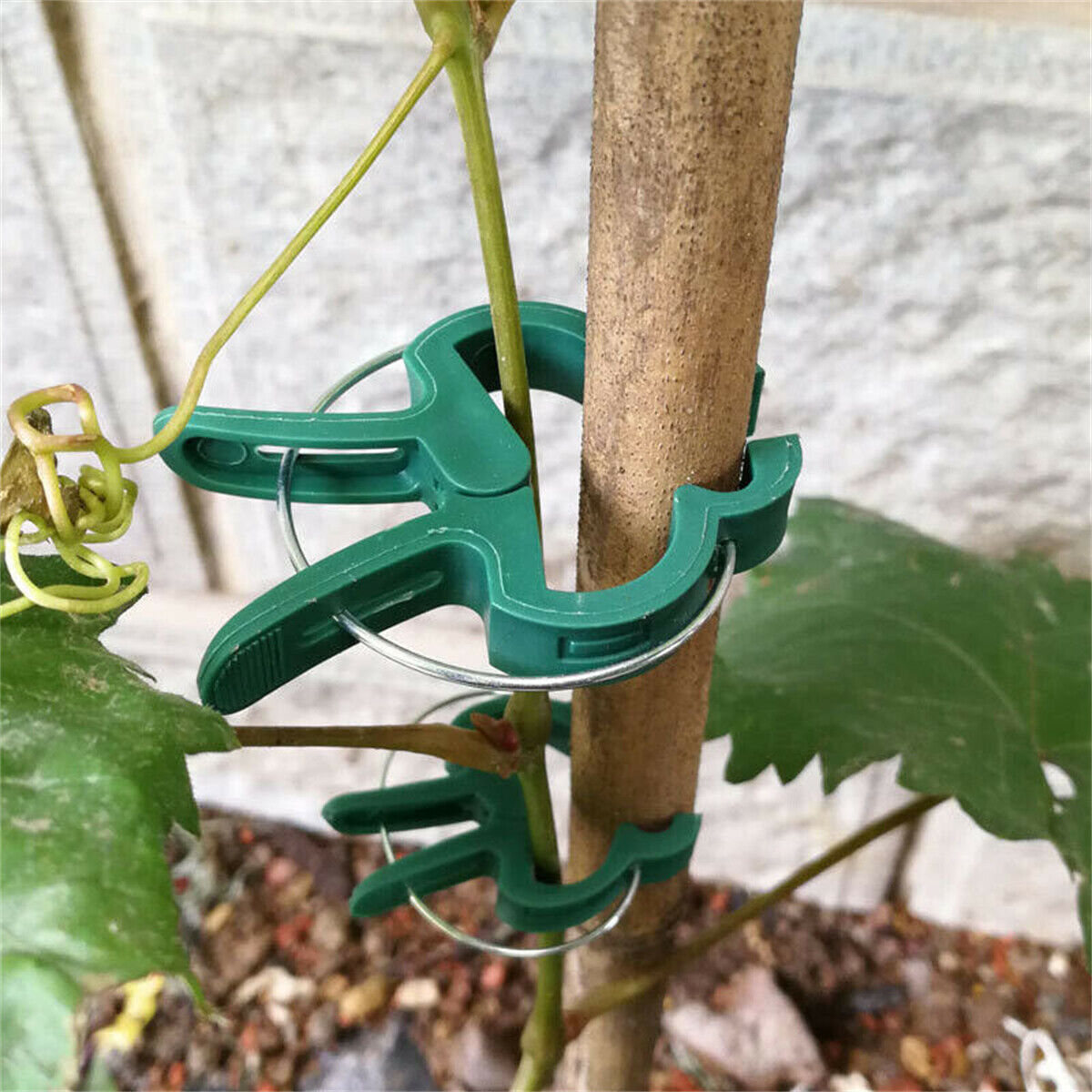 30X Garden Plant Clips Tomato Tie Stem Orchid Support Weatherproof Grow Training