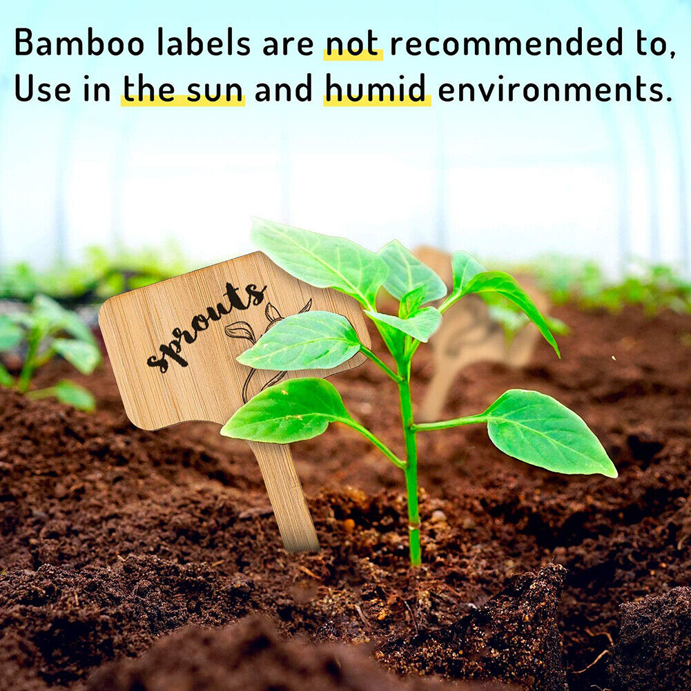 50x Wooden T-Shape Plant Labels Seed Potted Herbs Flowers Sign Tags Sticks
