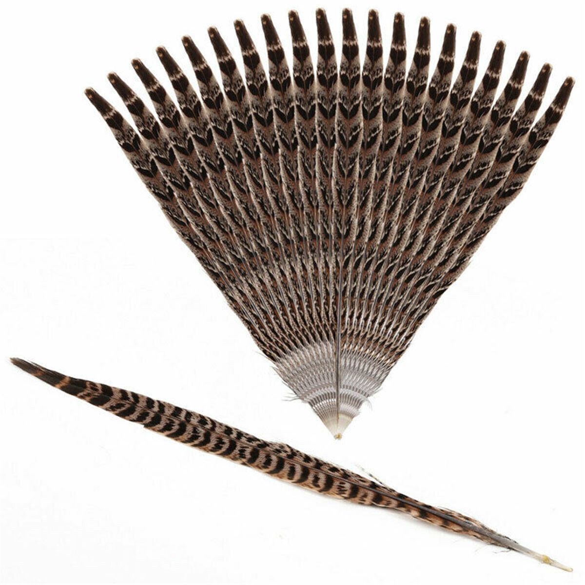 Wedding Home Craft Natural Pheasant Feathers Pheasant Tail Feathers Party