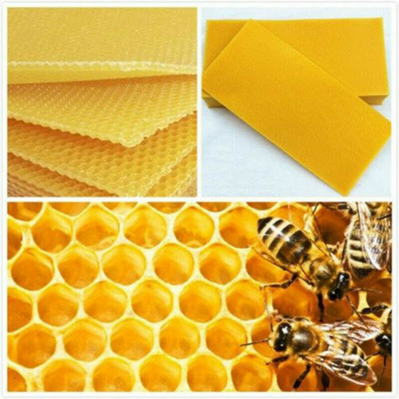 10x Beekeeping Honeycomb Foundation Wax Frame Honey Hive Equipment Tool Supplies