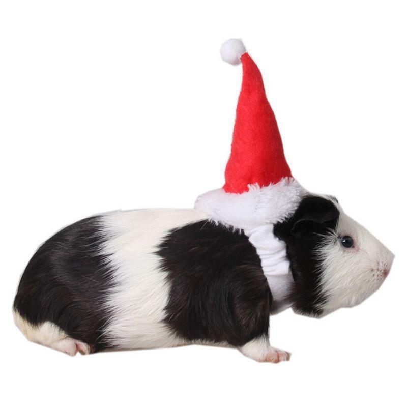 Cute Christmas Santa Cap with Pompom for Bunny Chinchilla Kitten Puppy Reptile