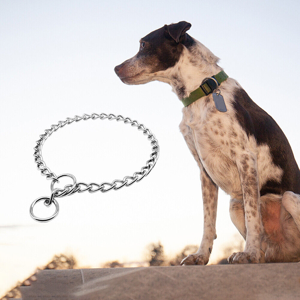 Dog Training Choker Chain Small Medium Large Dog Stainless Collar (28 inch)