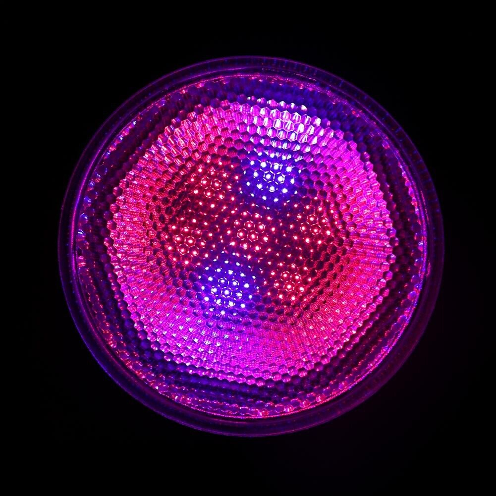 E27 Par38 21W LED Flower Plants Growth Light Bulb(5pcs Red+2pcs Blue)-19776