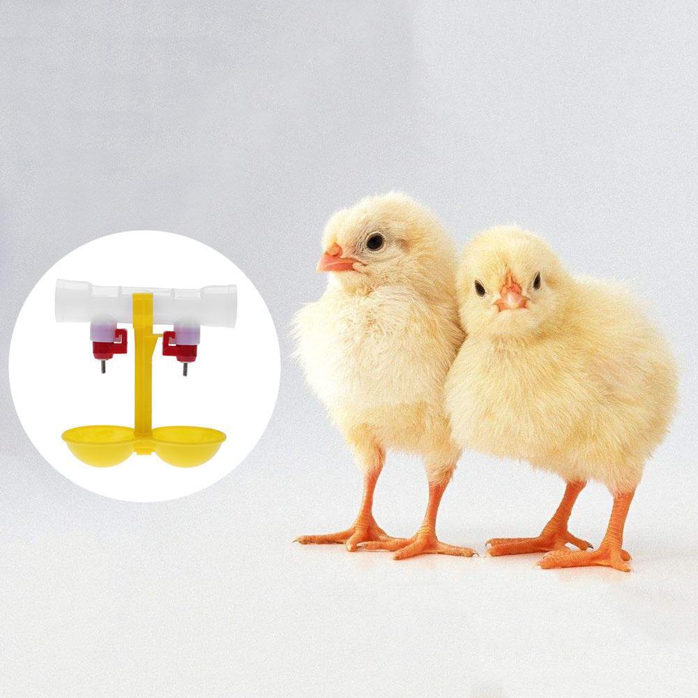 Double Outlet Drinking Hanging Chickens Cups Nipple Drinker Poultry Waterer