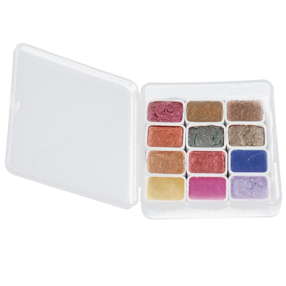Nail Pigment Solid 12 Colors Pigment Powder Nail Art Powder for Beginners