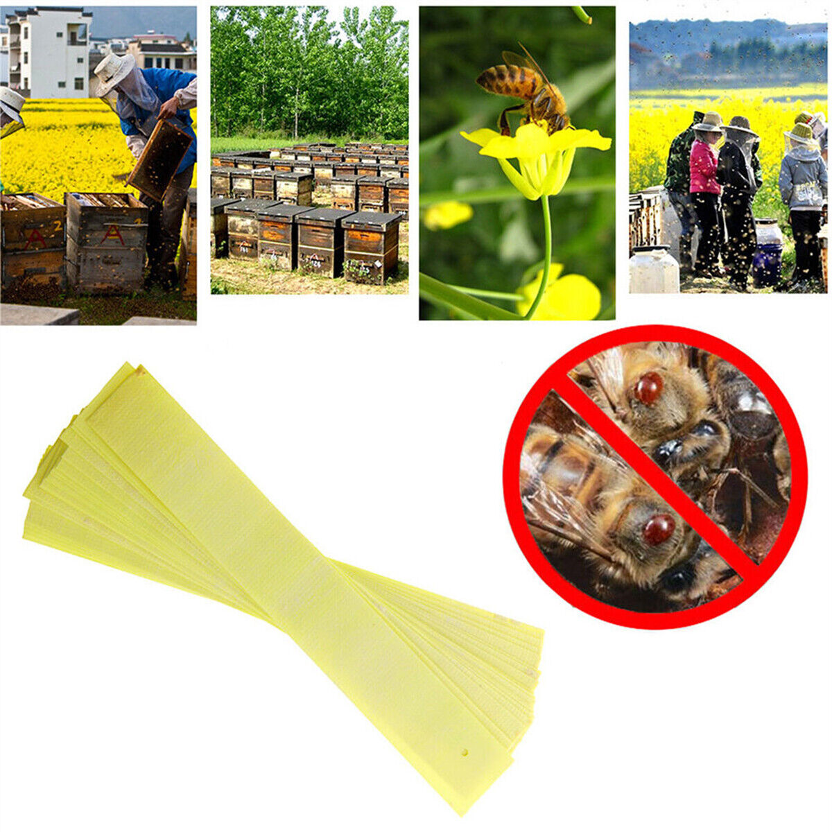 20X Varroa Strip Bee Mite Pro Acaricide Killing Beekeeping Pest Control Medicine