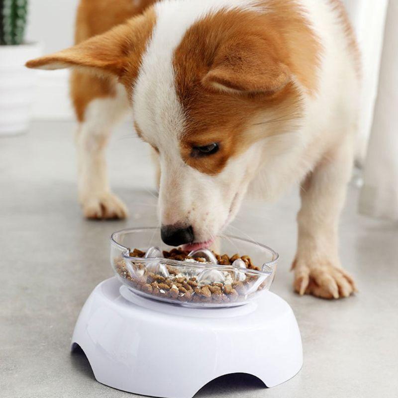Pet Cat Food Water Bowl Dog Raised 15 Degree Tilt Neck Guard Stand Slow Feeder
