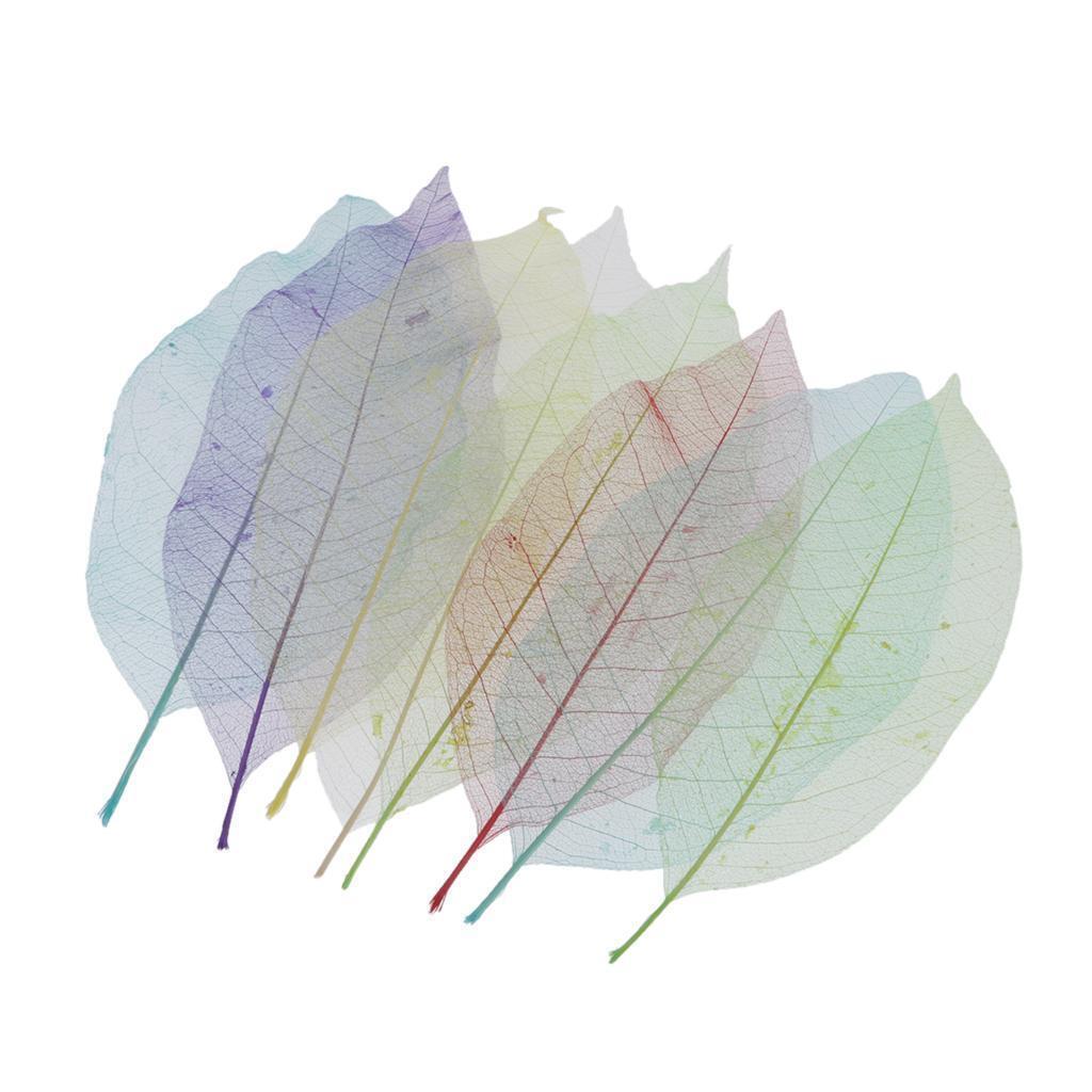 8pcs Natural Dried Skeleton Leaves for Embellishment Cardmaking DIY Crafts