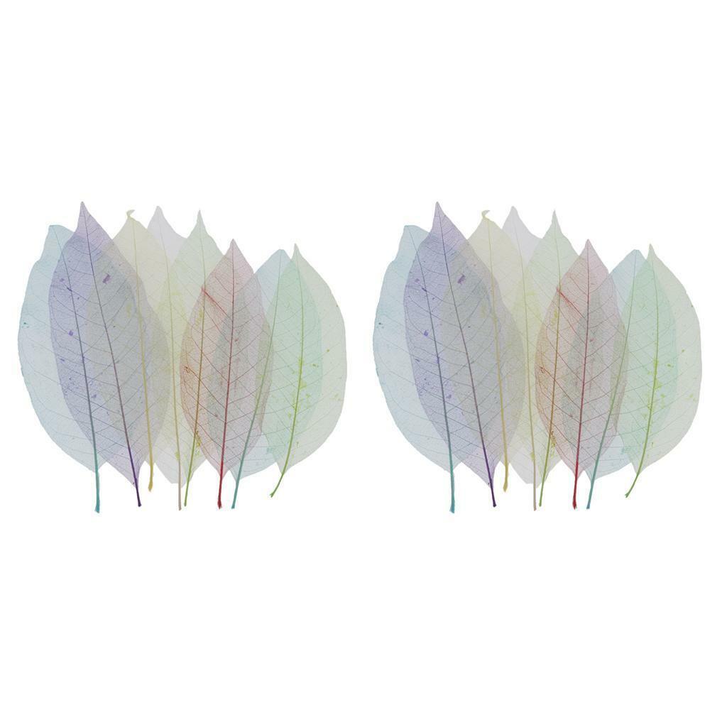 16pcs Mixed Dried Skeleton Leaves Cardmaking Bookmarks Earrings Photo Album