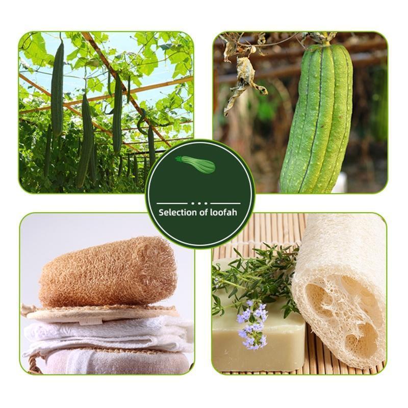 Natural Exfoliating Loofah Body Scrubber Bath Shower Sponge Textured Scrub Skin