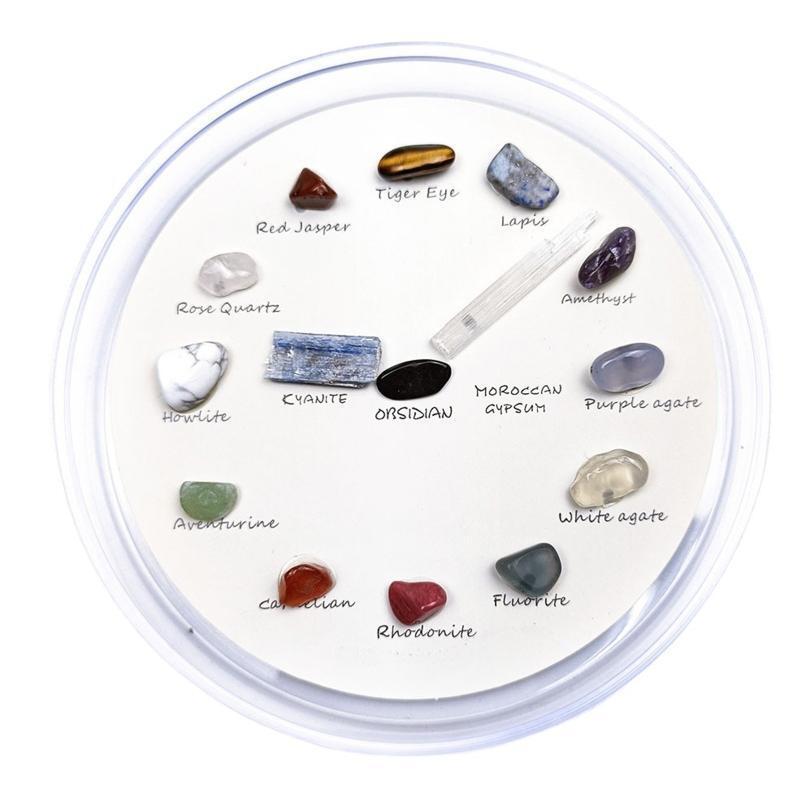 Exquisite Polished Natural Stones Geological Teaching Props for Teacher Student