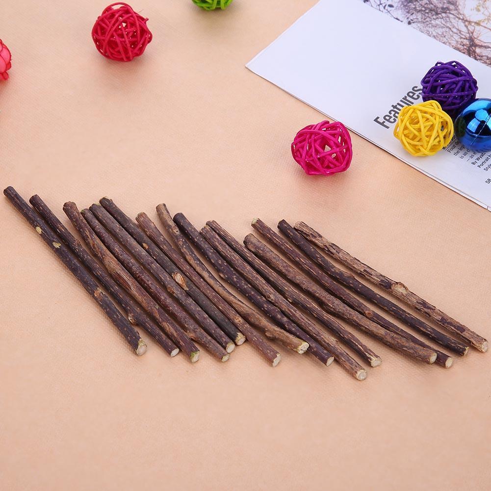 15pcs Natural Fruit Matatabi Cat Snacks Sticks Catnip Pet Cat Molar Rod
