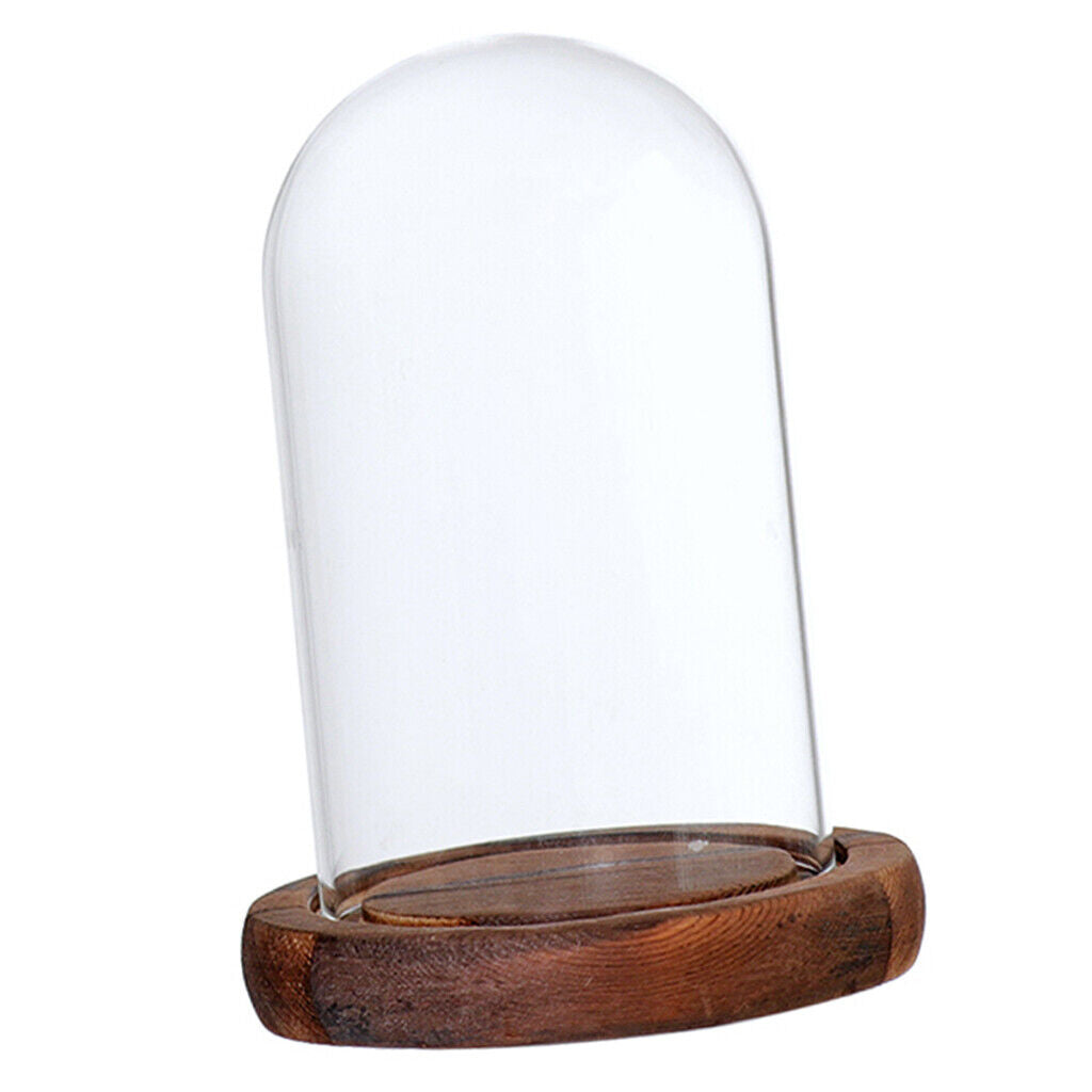 Dome Cloche with Wooden  Flower Landscape Holder  Brown - A