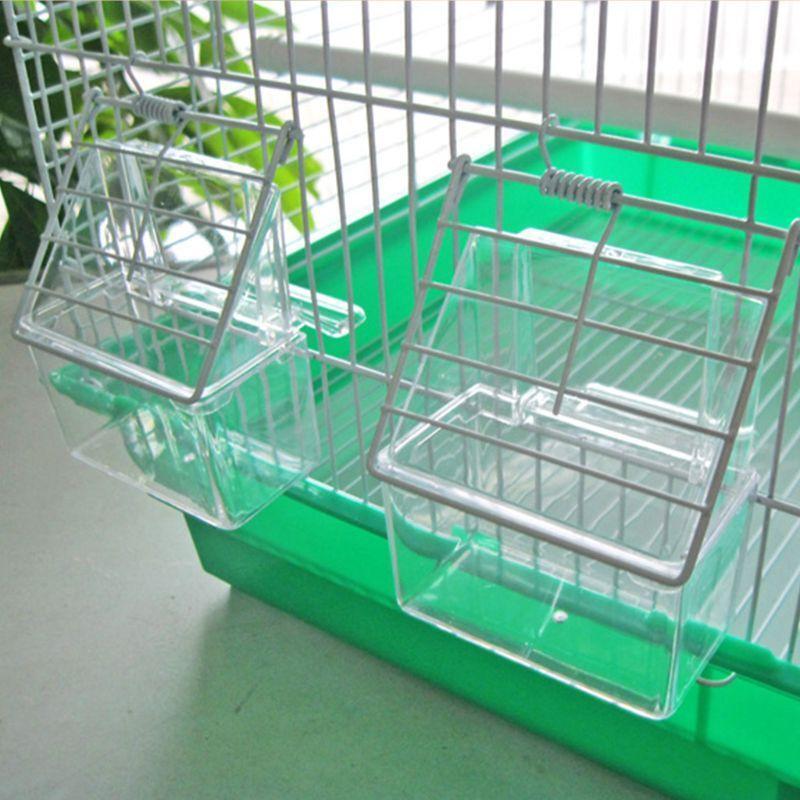 Parrot Bird Transparent Plastic Food Cup Bowl Company Clean Water Silo Waterer