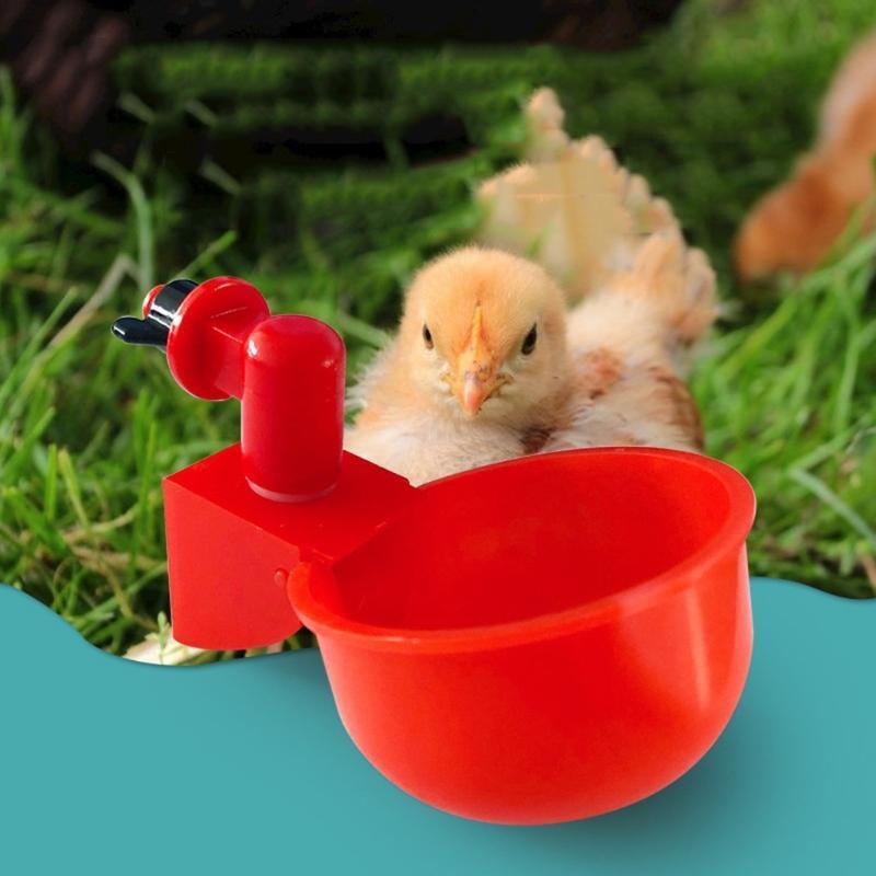 Automatic Poultry Waterer Cups Drinking Bowl for Chickens Ducks Quails Chicks