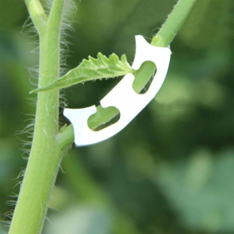 50 Pcs Plastic Fruit Vegetable Fixing Tools Durable Plants Support Clips Clamp