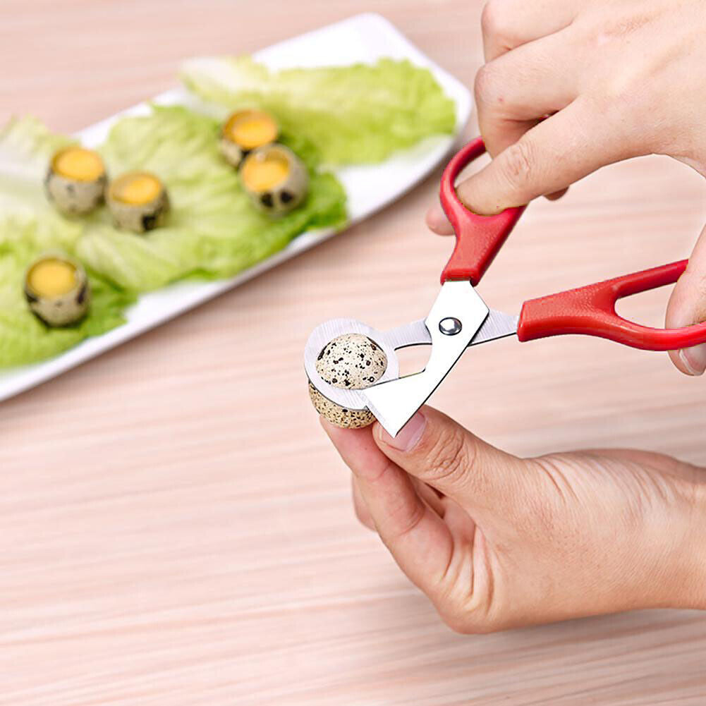 Bird Quail Egg Scissors Pigeon Opener Cutter Cracker Clipper Slicer (Red)