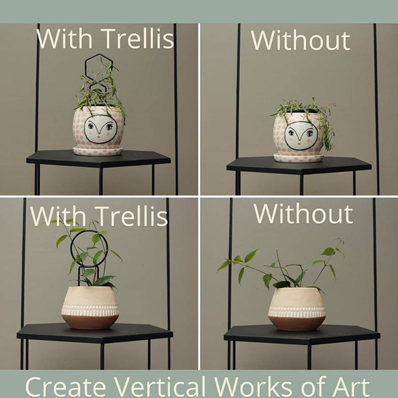 3pcs Metal Irregular Garden Plant Support Stake Stand for DIY Potted Climbing