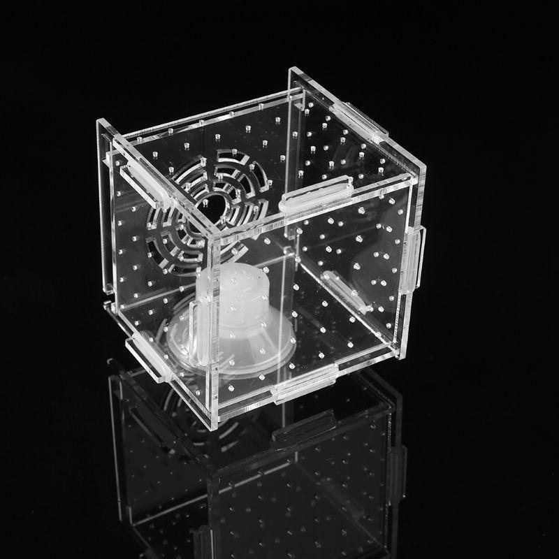Aquarium Breeder Box Fish Tank Breeding Incubator Small Fish Hatchery 8x8x8cm
