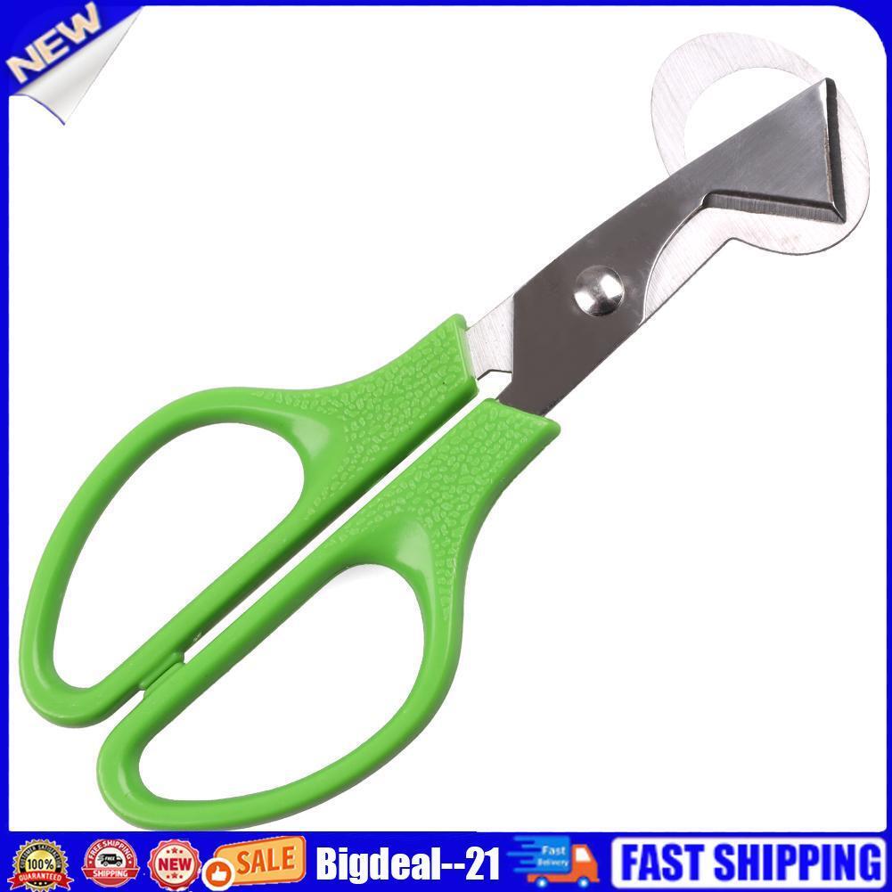 Creative Stainless Steel Pigeon Quail Egg Scissor Birds Eggshell Cut Opener