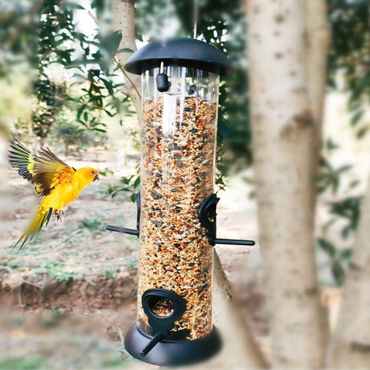 Clear Bird Feeder Classic Tube Feeder Outdoor Hanging  Feeders