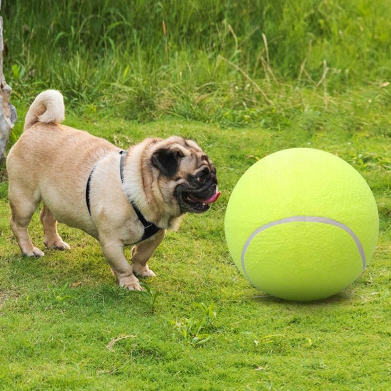 8In Tennis Chew Balls for Dogs Interactive Bouncy Ball Squeak Chewer for Playing