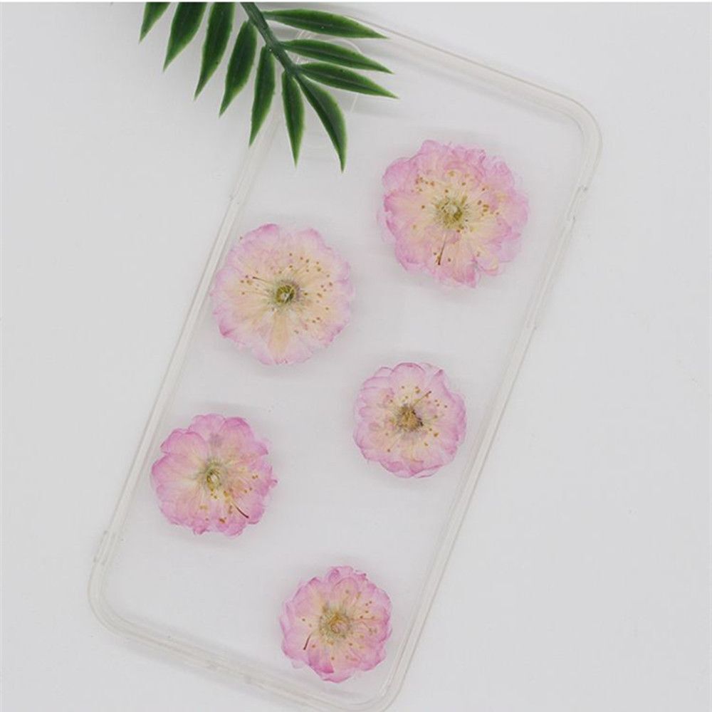 Jewelry Making Multi-purpose Real Dried Flowers Crafts Pressed Flowers Sakura